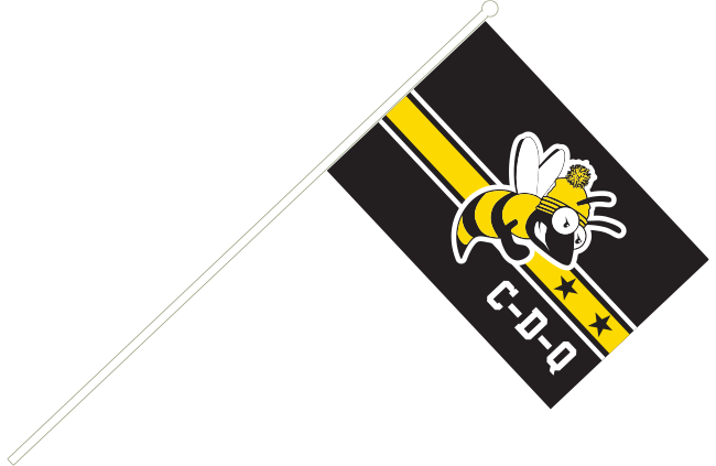 JDQ CENTRE-DU-QUÉBEC - MINI DRAPEAU SUR TIGE